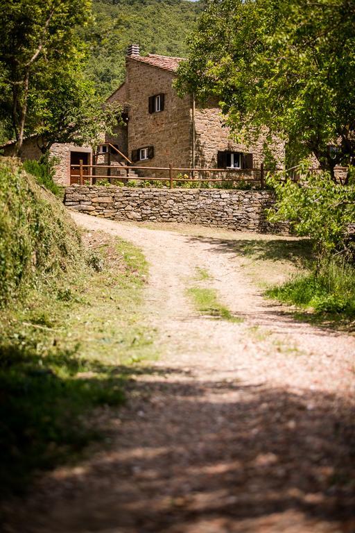 Апартаменти Borgo Al Teto La Vite Кастільон-Фйорентіно Екстер'єр фото
