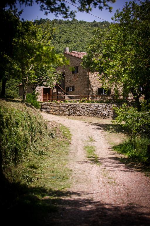 Апартаменти Borgo Al Teto La Vite Кастільон-Фйорентіно Екстер'єр фото