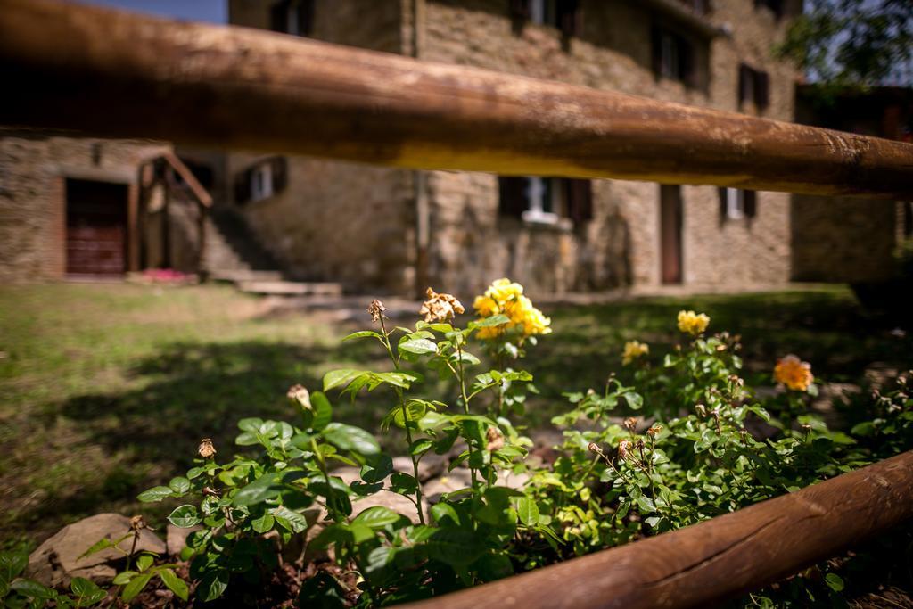 Апартаменти Borgo Al Teto La Vite Кастільон-Фйорентіно Екстер'єр фото