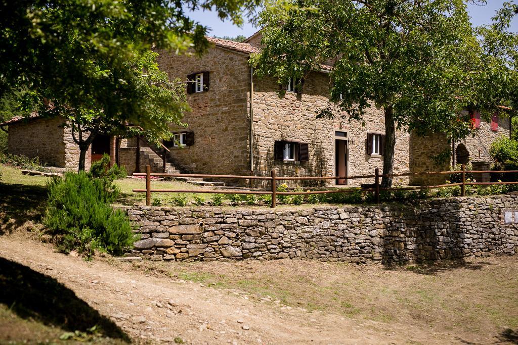 Апартаменти Borgo Al Teto La Vite Кастільон-Фйорентіно Екстер'єр фото