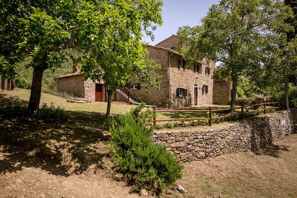 Апартаменти Borgo Al Teto La Vite Кастільон-Фйорентіно Екстер'єр фото