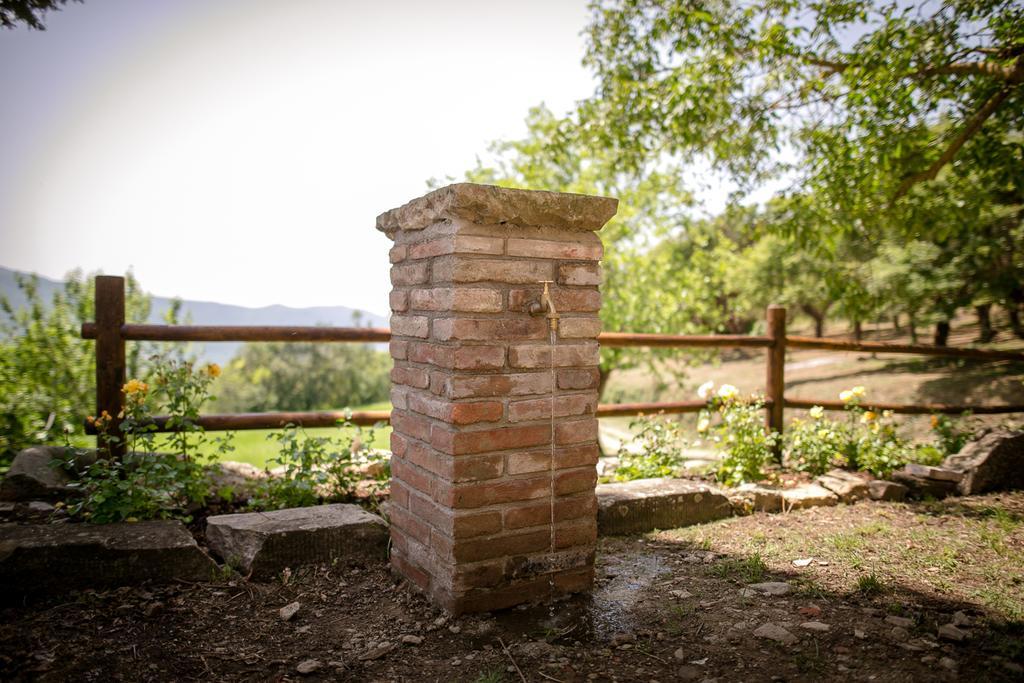 Апартаменти Borgo Al Teto La Vite Кастільон-Фйорентіно Екстер'єр фото